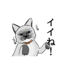 猫好きです（個別スタンプ：5）