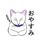 猫好きです（個別スタンプ：7）