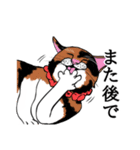 猫好きです（個別スタンプ：8）
