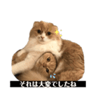 スコにゃん ライトとクゥちゃんスタンプ（個別スタンプ：15）