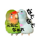 小桜インコラッキー＆マメルリハそらパート4（個別スタンプ：13）
