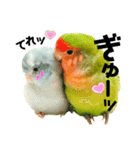 小桜インコラッキー＆マメルリハそらパート4（個別スタンプ：23）