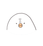 かぶみさん（個別スタンプ：30）
