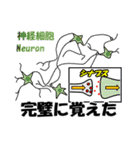 ライフサイエンスを交えた日常会話スタンプ（個別スタンプ：14）