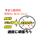 ライフサイエンスを交えた日常会話スタンプ（個別スタンプ：23）
