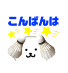 バドミントン犬の日常スタンプ（個別スタンプ：3）