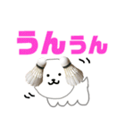 バドミントン犬の日常スタンプ（個別スタンプ：10）