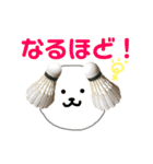 バドミントン犬の日常スタンプ（個別スタンプ：12）