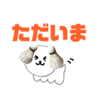 バドミントン犬の日常スタンプ（個別スタンプ：13）