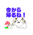バドミントン犬の日常スタンプ（個別スタンプ：19）