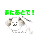 バドミントン犬の日常スタンプ（個別スタンプ：20）