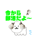 バドミントン犬の日常スタンプ（個別スタンプ：35）