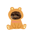 わんころちん（個別スタンプ：1）