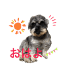 雑種のぺけwith仲間たち❸（個別スタンプ：38）
