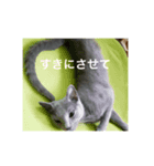 動物たちの呟き ph1（個別スタンプ：2）