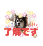 うちのおばあさん（個別スタンプ：1）