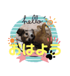 うちのおばあさん（個別スタンプ：4）