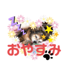 うちのおばあさん（個別スタンプ：6）
