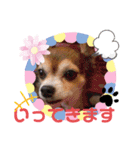 うちのおばあさん（個別スタンプ：7）