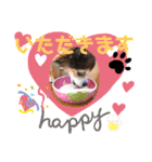 うちのおばあさん（個別スタンプ：10）