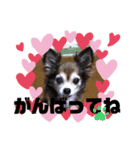 うちのおばあさん（個別スタンプ：12）