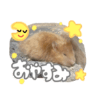 ちゃんたまご（個別スタンプ：6）