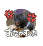 ちゃんたまご（個別スタンプ：8）