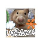 ちゃんたまご（個別スタンプ：22）