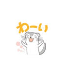 表情豊かなフェレットスタンプ！（個別スタンプ：21）