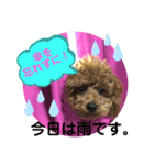 くぅたん日常で使うスタンプpart2（個別スタンプ：2）
