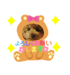 くぅたん日常で使うスタンプpart2（個別スタンプ：3）