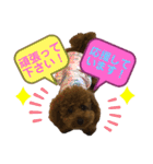 くぅたん日常で使うスタンプpart2（個別スタンプ：9）