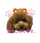 くぅたん日常で使うスタンプpart2（個別スタンプ：10）