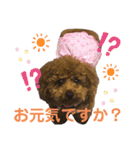 くぅたん日常で使うスタンプpart2（個別スタンプ：11）