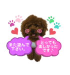 くぅたん日常で使うスタンプpart2（個別スタンプ：12）