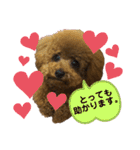 くぅたん日常で使うスタンプpart2（個別スタンプ：13）