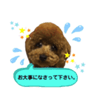 くぅたん日常で使うスタンプpart2（個別スタンプ：14）
