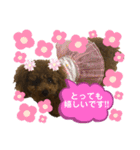 くぅたん日常で使うスタンプpart2（個別スタンプ：15）