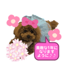 くぅたん日常で使うスタンプpart2（個別スタンプ：18）