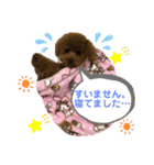 くぅたん日常で使うスタンプpart2（個別スタンプ：19）