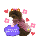 くぅたん日常で使うスタンプpart2（個別スタンプ：24）