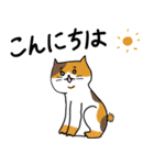 優しいカラフルねこ（個別スタンプ：2）