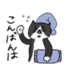 優しいカラフルねこ（個別スタンプ：3）