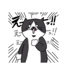 優しいカラフルねこ（個別スタンプ：13）