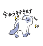 優しいカラフルねこ（個別スタンプ：33）