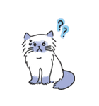 優しいカラフルねこ（個別スタンプ：37）