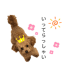 ViViスタンプⅡ（個別スタンプ：1）