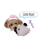 ViViスタンプⅡ（個別スタンプ：2）