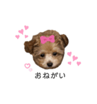 ViViスタンプⅡ（個別スタンプ：4）