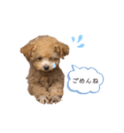 ViViスタンプⅡ（個別スタンプ：5）